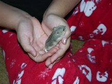 GOTCHA!