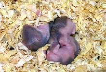 MY 3 CUTIES!