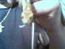 Anery Motley Corn