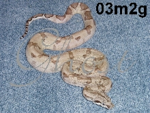03m2g