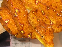 green tree python