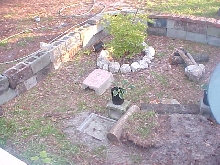 New Turtle Pen 2003