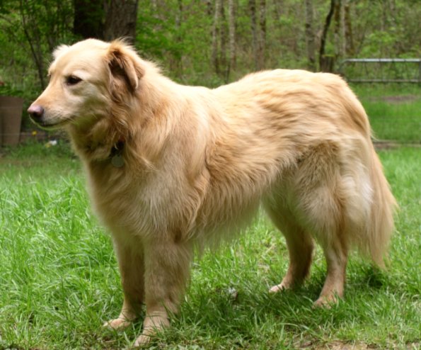 In Memory of Emma, 1996-2006