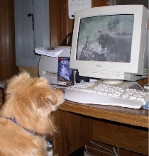 Emma watching wolf video