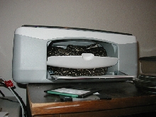 boa in a printer1