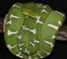 ETB