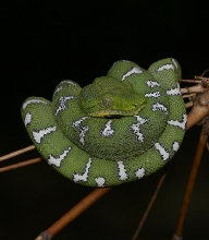etb