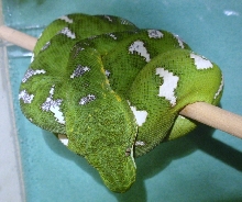etb