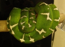 etb