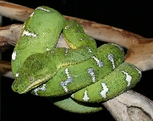ETB northern2