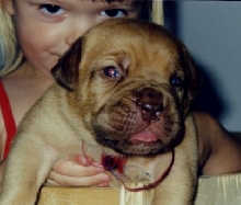 Goliath