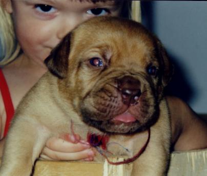 Goliath