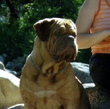 Amber