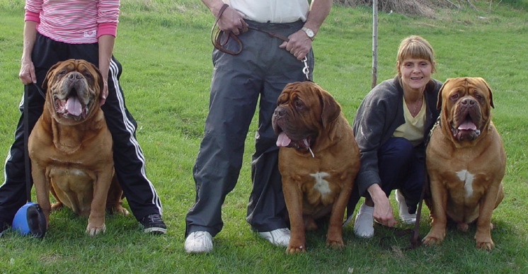 Beefy, Oggy & Roq