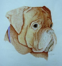 ddb drawing