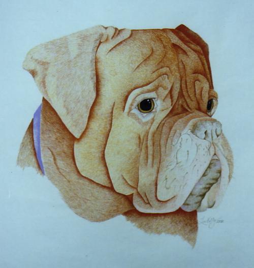 ddb drawing