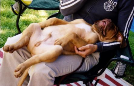 Ryder at rest