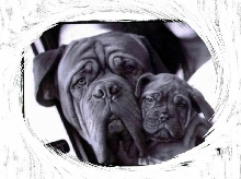 Kaz & Maizie