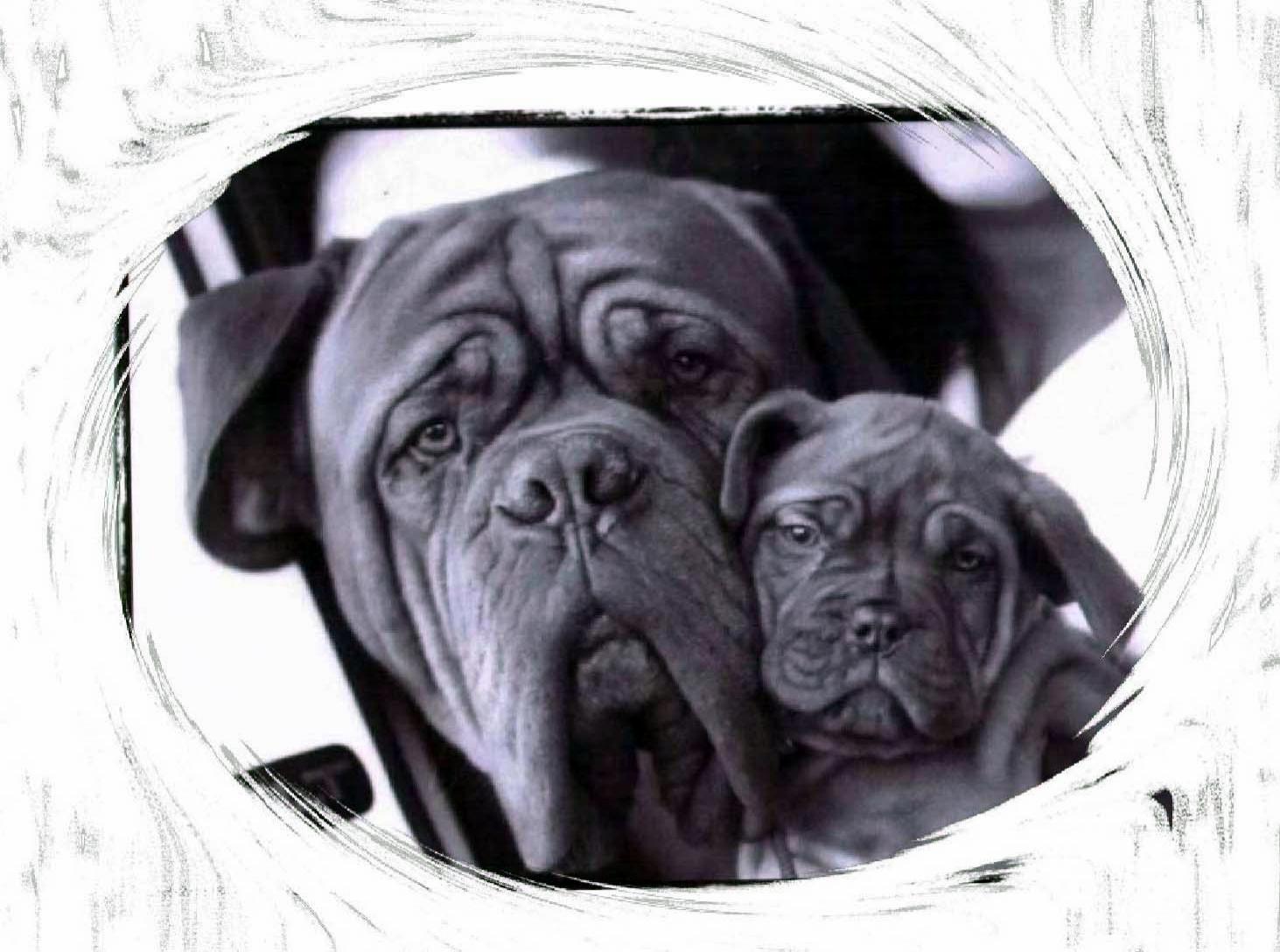 Kaz & Maizie