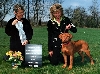 2005 DDBS Nat. Puppy Sweeps Winner