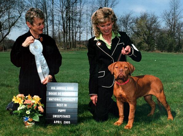 2005 DDBS Nat. Puppy Sweeps Winner