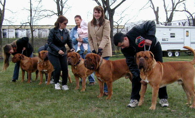Breeder Achievement