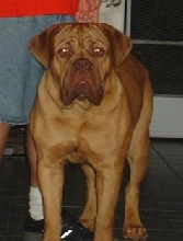 Ranius 8 mo.
