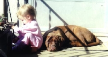 Raven & Juneau