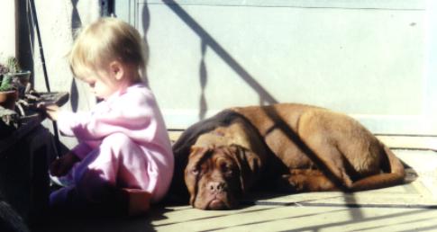 Raven & Juneau