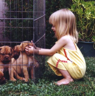 Raven & Puppies