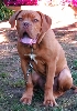 Titan