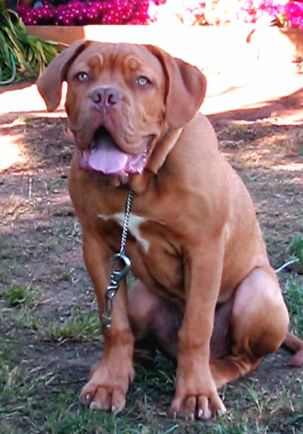 Titan