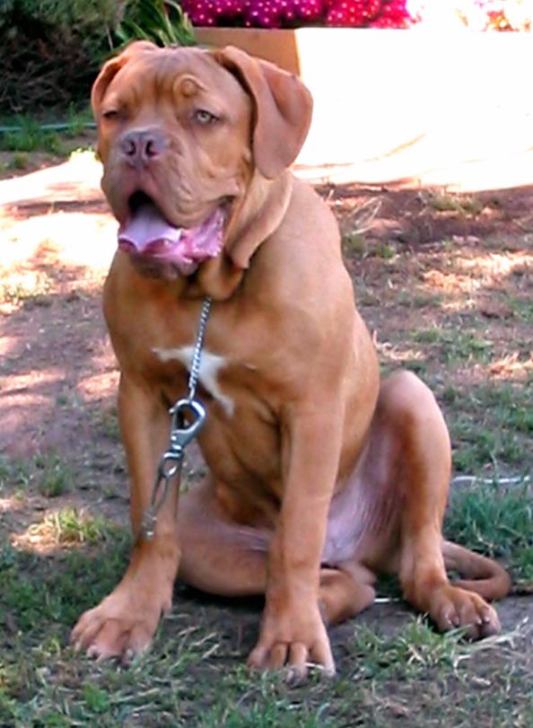 Titan