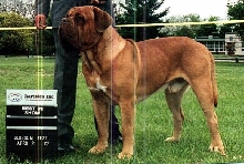 Zuess