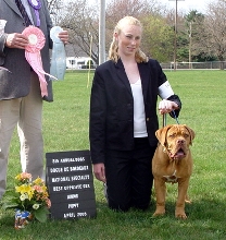 2005 DDBS Nat. Best of Opposite puppy
