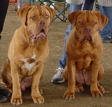 Baloo & Maggie