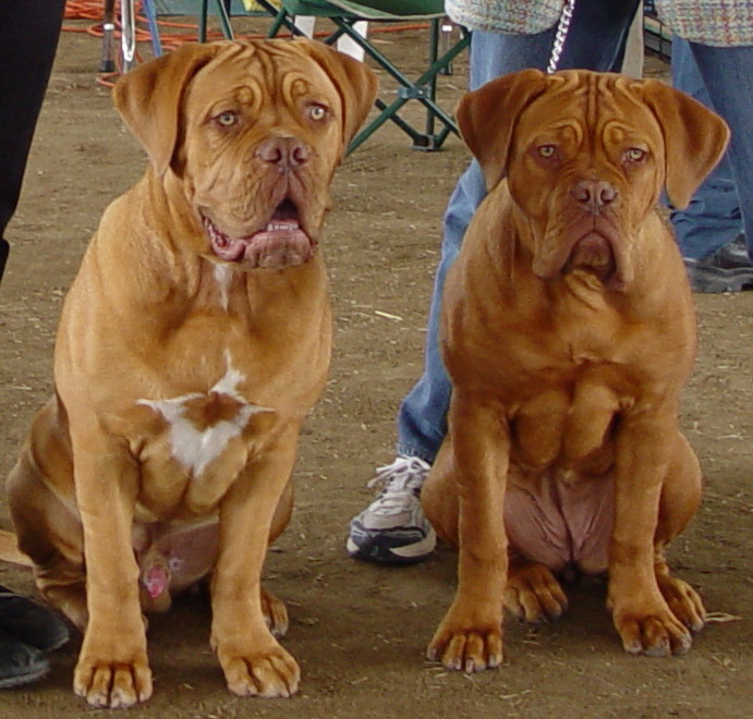 Baloo & Maggie