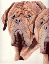 drawing