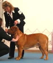 Braxx