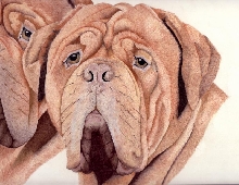 drawing