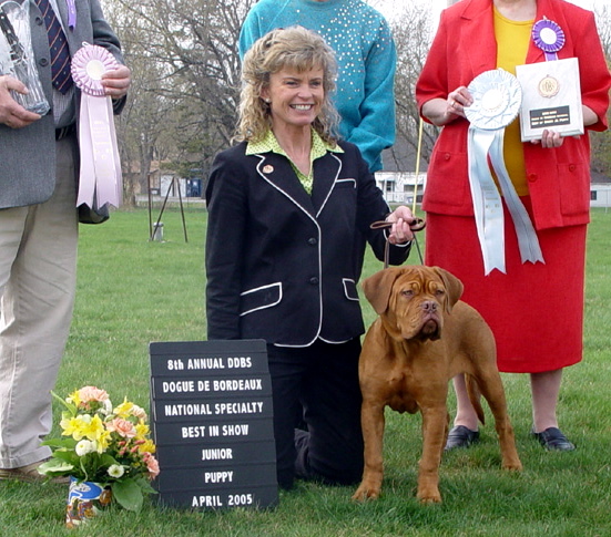 2005 DDBS Nat. Best in Show puppy and Puppy Sweeps winner