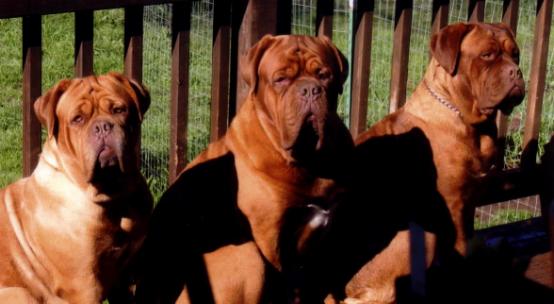 Sunbathing