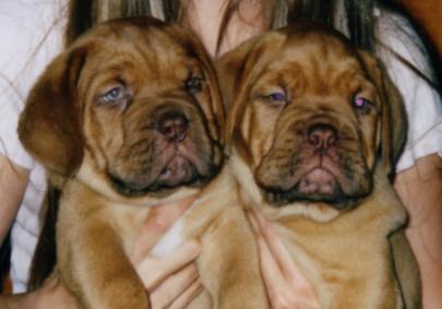Grover & Galen