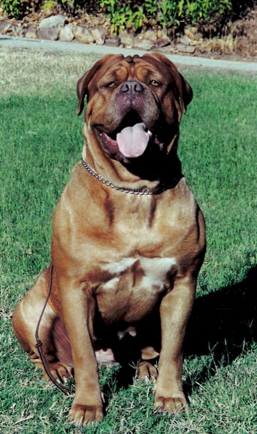 Mighty Aphrodite (Missy)