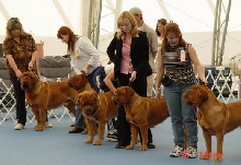 2004 Breeder Achievement
