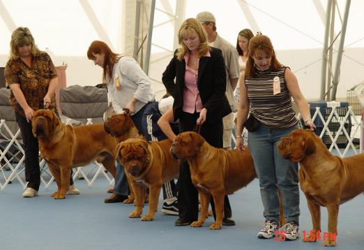 2004 Breeder Achievement