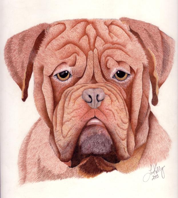 bordeaux drawing
