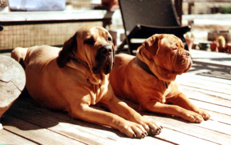 Paisley & Ed