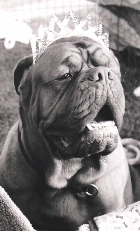 Princess Bufo
