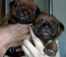 Rana & Poppy